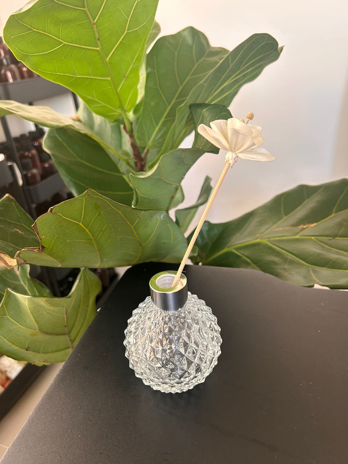 Envases Diffusor 100ml