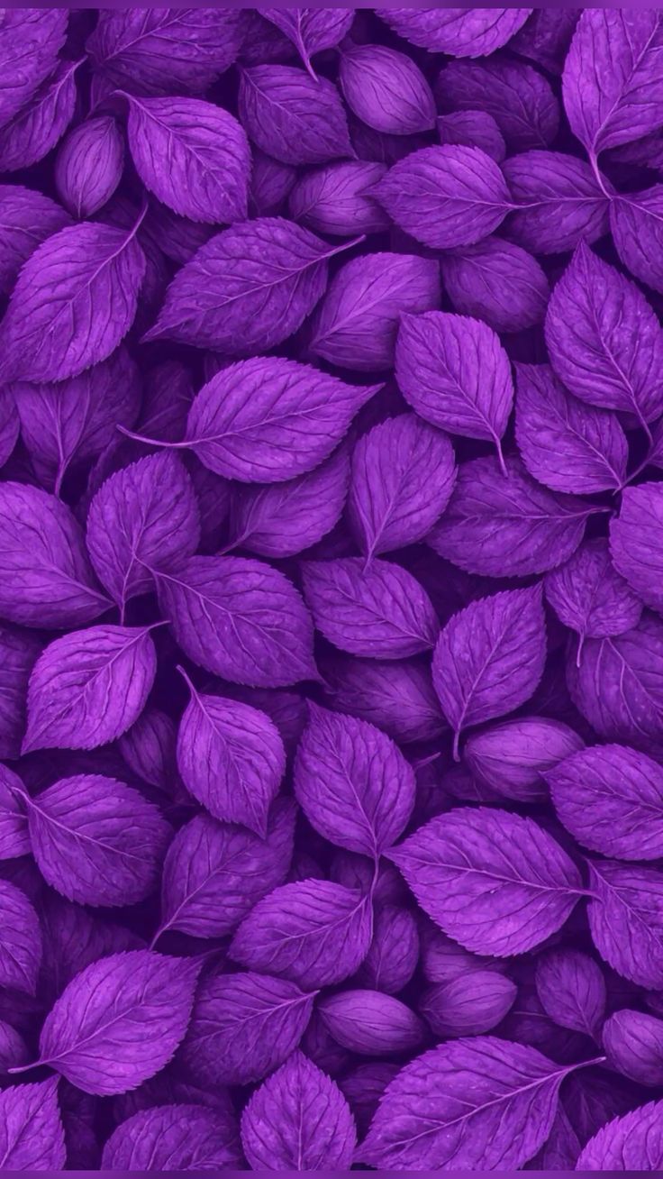 COLORES EN BLOQUE VIOLETTA