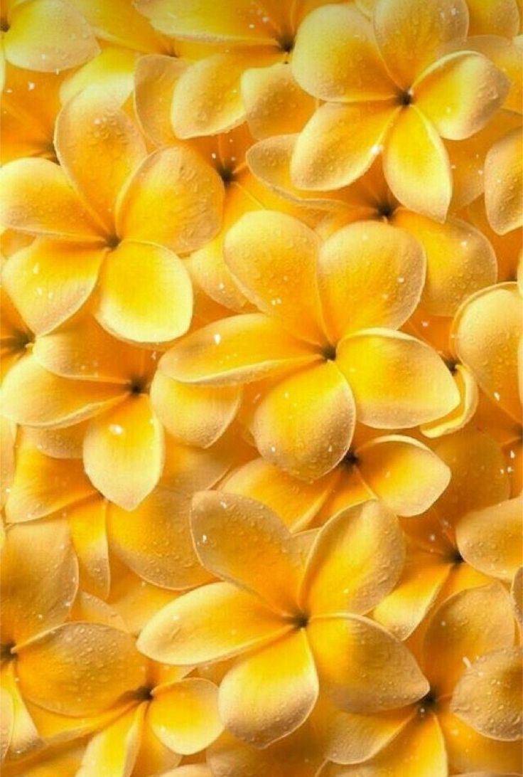 COLOR GEL AMARILLO