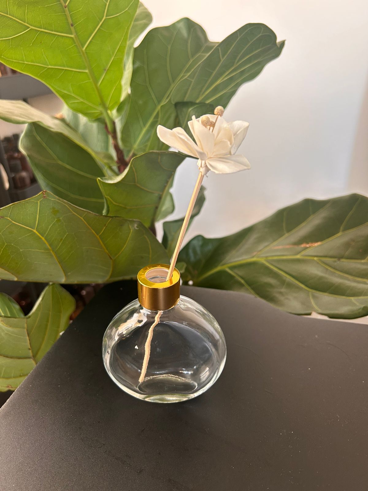 ENVASE DIFUSOR 250ml