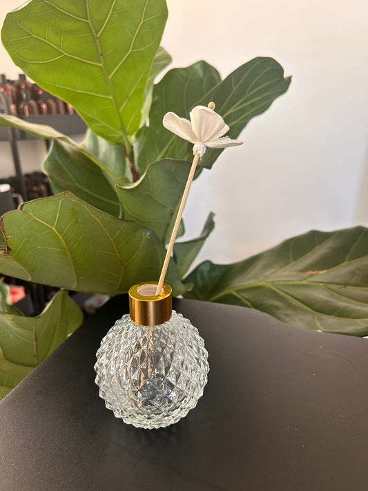 Envases Diffusor 100ml