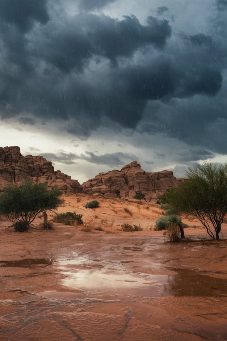 DESERT RAIN