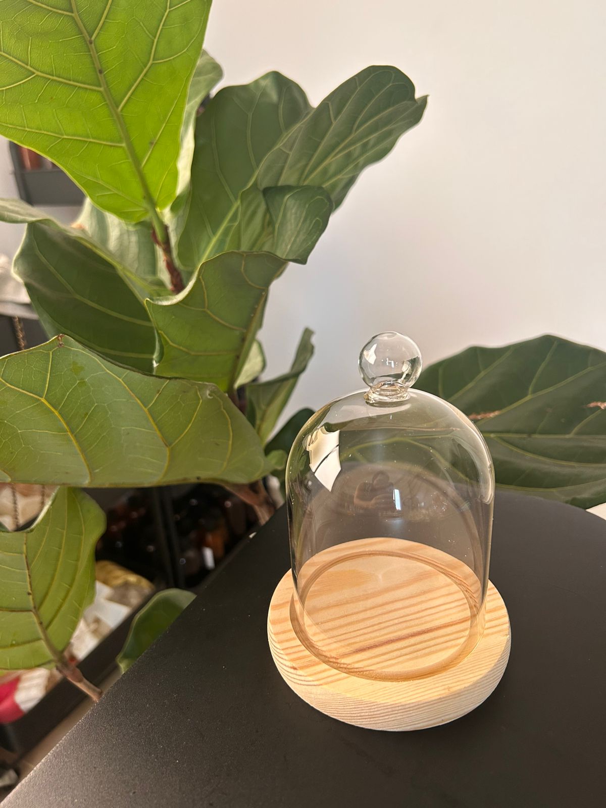 Cupula Decorativa 9¨11 cm