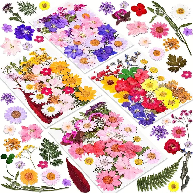 FLORES DESHIDRATADAS