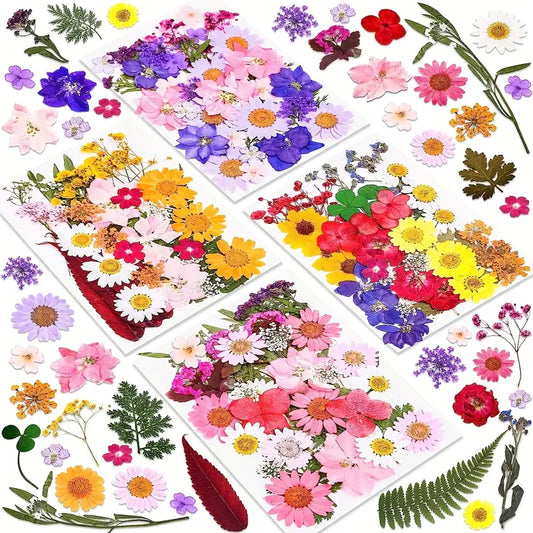FLORES DESHIDRATADAS