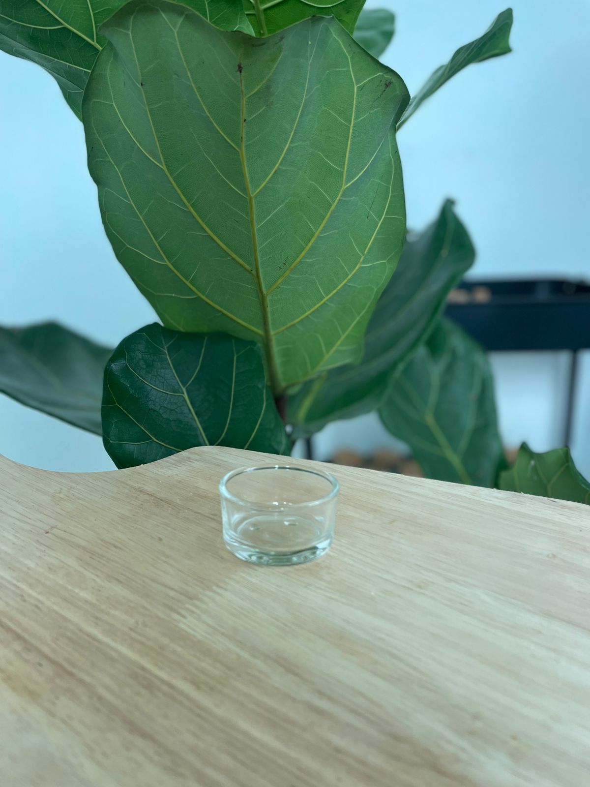 SMALL TRANSPARENTE CRISTAL 4.3 x 2.5