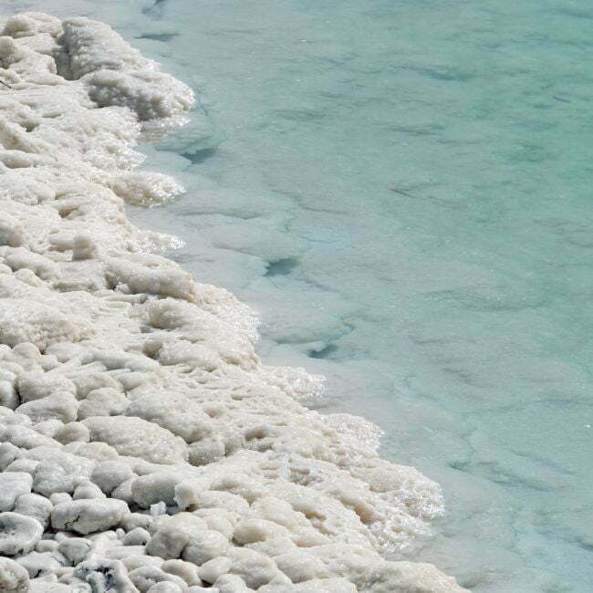 SEA SALT SURF