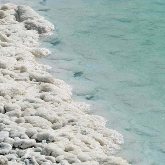 SEA SALT SURF