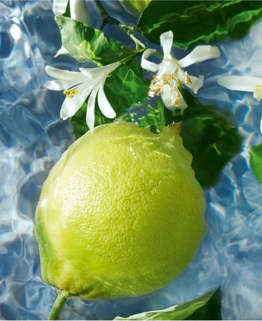 BERGAMOTA FRAGANCE
