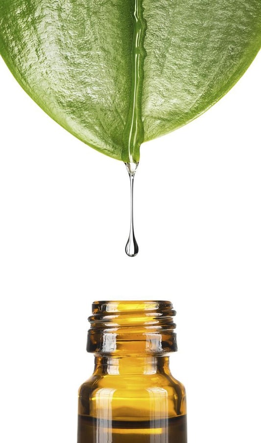 ACEITE TEA TREE 15ML