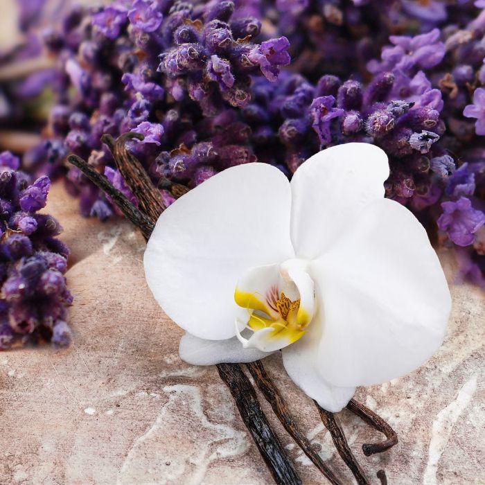 LAVENDER VAINILLA 8oz