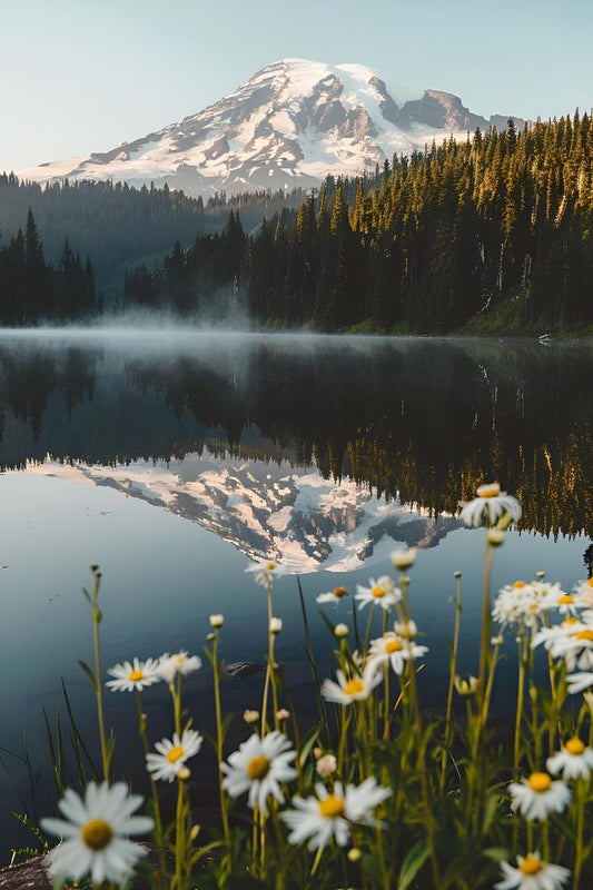 MOUNTAIN SPIRNGS