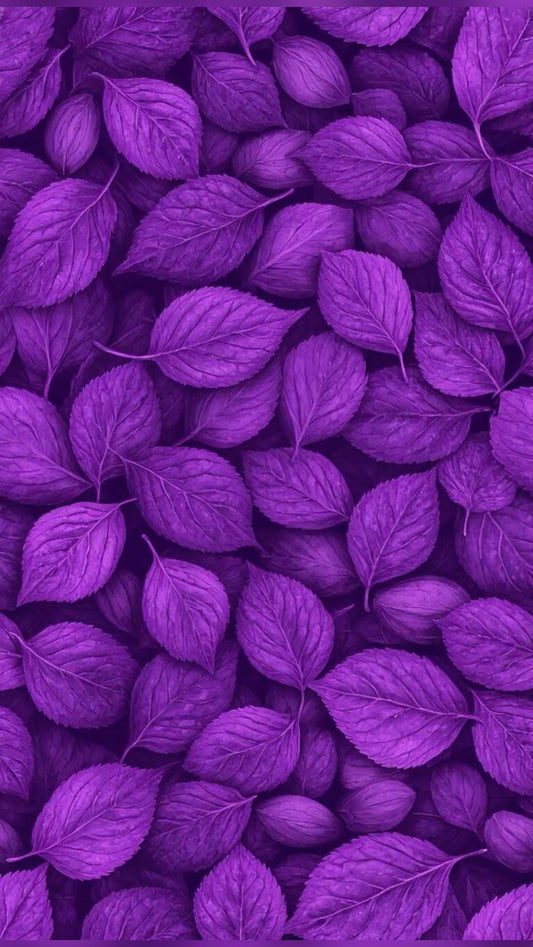 COLORES EN BLOQUE VIOLETTA