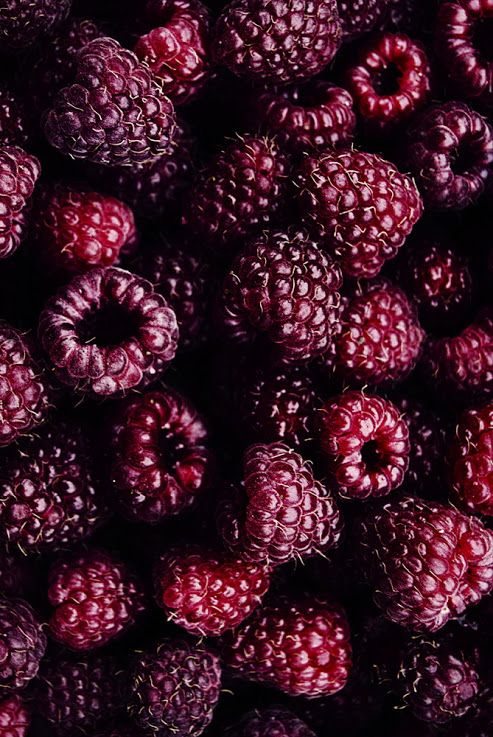 MULBERRY